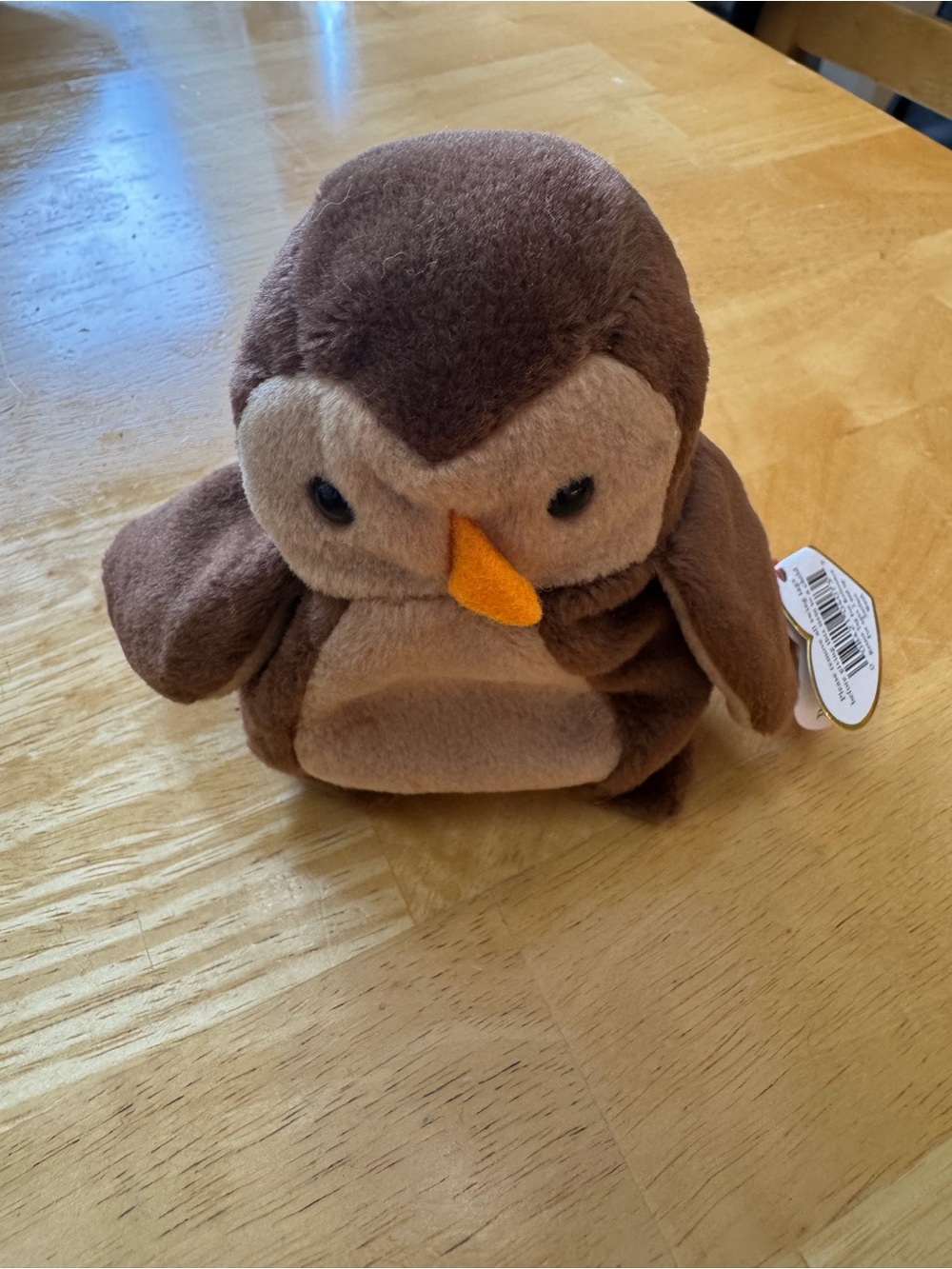 Ty Beanie Babies “Hoot”